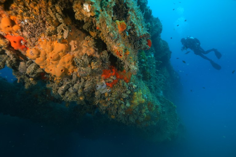 Risultati progetto Adrireef