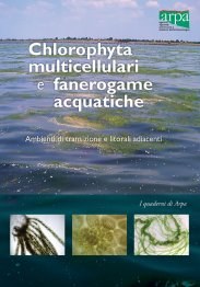 Chlorophyta multicellulari e fanerogame acquatiche