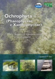 Ochrophyta