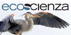 Ecoscienza n. 1/2025