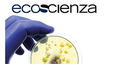 Ecoscienza n. 3/2025