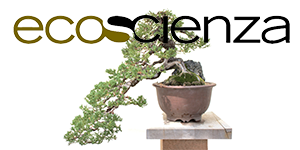 Ecoscienza n. 4/2025