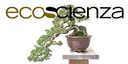 Ecoscienza n. 4/2025
