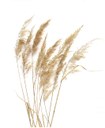tile_copertina_es2023_1