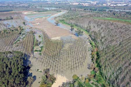 Servizio Rinaturazione es2025_1 tile 450x300