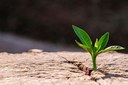 Transizione ecologica aperta Es 2/2021
