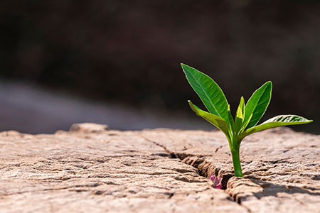 Transizione ecologica aperta Es 2/2021