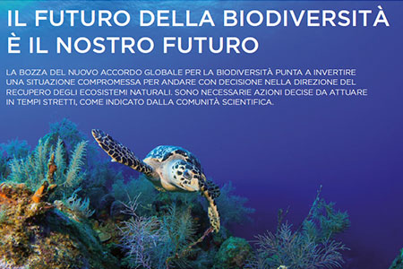 Servizio biodiversità es2022/2
