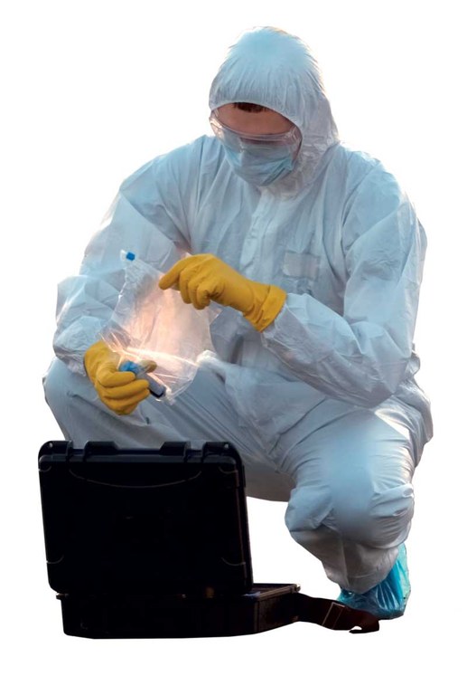 es-02-2025-copertina.jpg