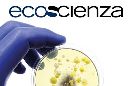 Ecoscienza 3/2025