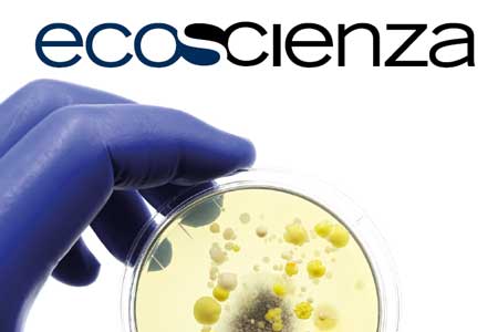 Ecoscienza 3/2025