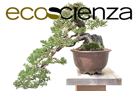 Ecoscienza 4/2025