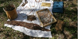 2 dicembre: convegno a Rimini “Studi e Ricerche in Outdoor Education”