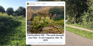 “CheTerraPesti”, online la newsletter numero 99