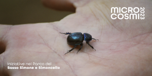 “Infinita Diversità”, al Parco del Sasso Simone e Simoncello