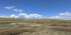 2025, un anno caldo e piovoso