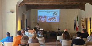 A Lugo la formazione per la prevenzione e il controllo delle zanzare