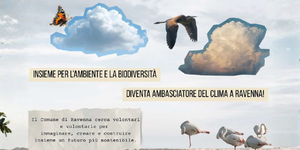A Ravenna un bando per diventare “Ambasciatori del clima”