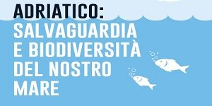 Adriatico: salvaguardia e biodiversità del nostro mare
