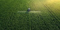 Agricoltura, suolo e clima: tre casi studio in Emilia-Romagna