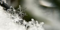 Allerta meteo di codice giallo per neve in collina e vento sulla costa