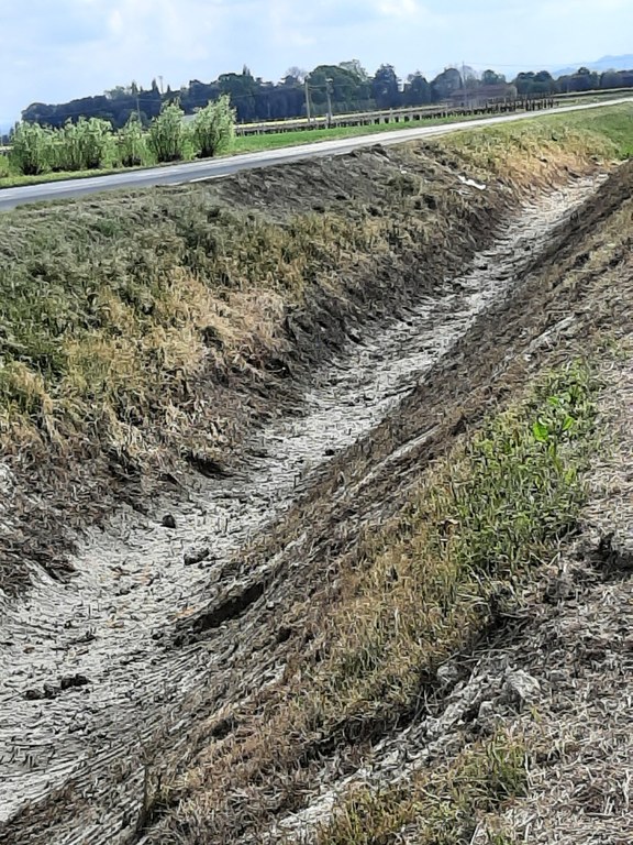 Alveo dopo lavaggio e rimozione terreno