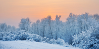 Arpae cerca osservatori volontari della neve