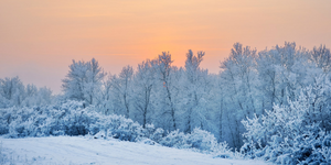 Arpae cerca osservatori volontari della neve