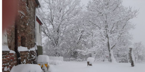 Arpae cerca osservatori volontari della neve