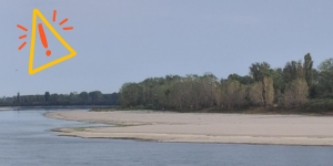 Aumenta la risalita del cuneo salino nel Delta del Po
