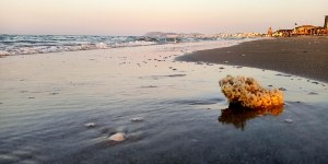 Mare, la Riviera è tutta balneabile