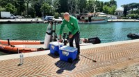 Balneazione, oltre 5.000 km di litorale eccellente in Italia