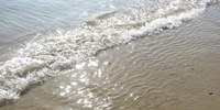 Balneazione, primi risultati del monitoraggio