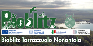 Bioblitz a Nonantola, una caccia al tesoro della biodiversità