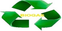 Biogas: driver importante per la filiera agroalimentare