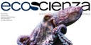 Blue economy. Online Ecoscienza 2/2024