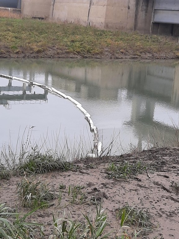 Sversamento nel fiume Reno tra Bologna e Ferrara - foto 3