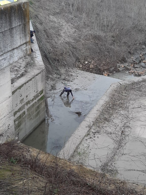 Sversamento nel fiume Reno tra Bologna e Ferrara - foto 1