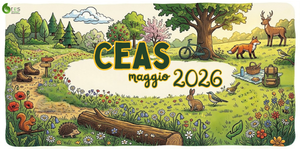 Ceas dell’Emilia-Romagna, le attività di maggio