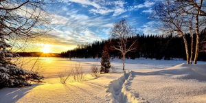 Cercasi osservatori volontari della neve