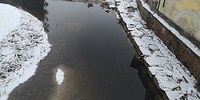 Colorazione anomala nel fiume Montone a Rocca San Casciano