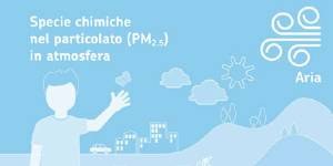 Composizione del particolato PM2.5, i dati dell'estate 2019