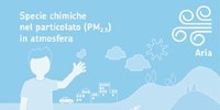 Composizione del particolato PM2.5, i dati dell'estate 2018