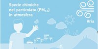 Composizione del particolato PM2.5, i dati dell'inverno 2018-2019