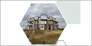 Consumo di suolo, dinamiche territoriali e servizi ecosistemici