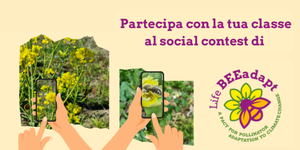 Contest fotografico di Life BEEadapt per appassionati e scuole