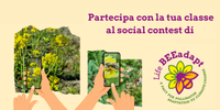 Contest fotografico di Life BEEadapt per appassionati e scuole