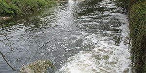 Flussi delle acque reflue, pubblicata la relazione del 2019