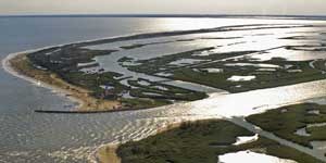 Cuneo salino nel delta del Po, stato attuale e prospettive