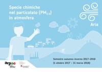 Da che cos'è composto il particolato?